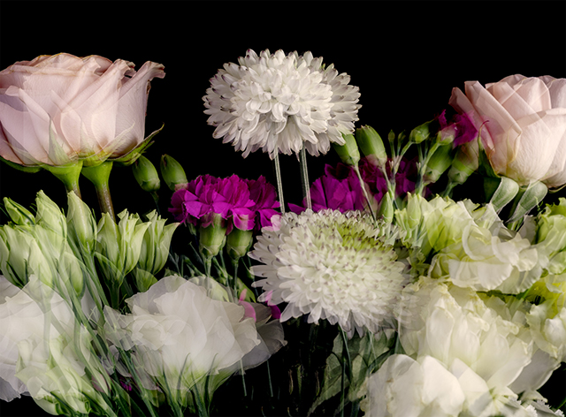 Colección en proceso