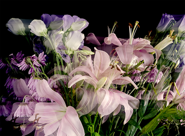 Colección en proceso