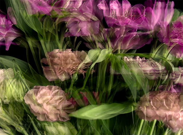 Colección en proceso