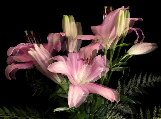 Colección en proceso