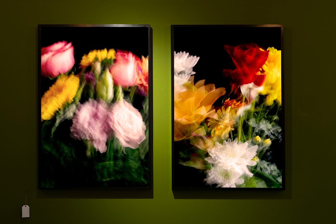 Colección en proceso