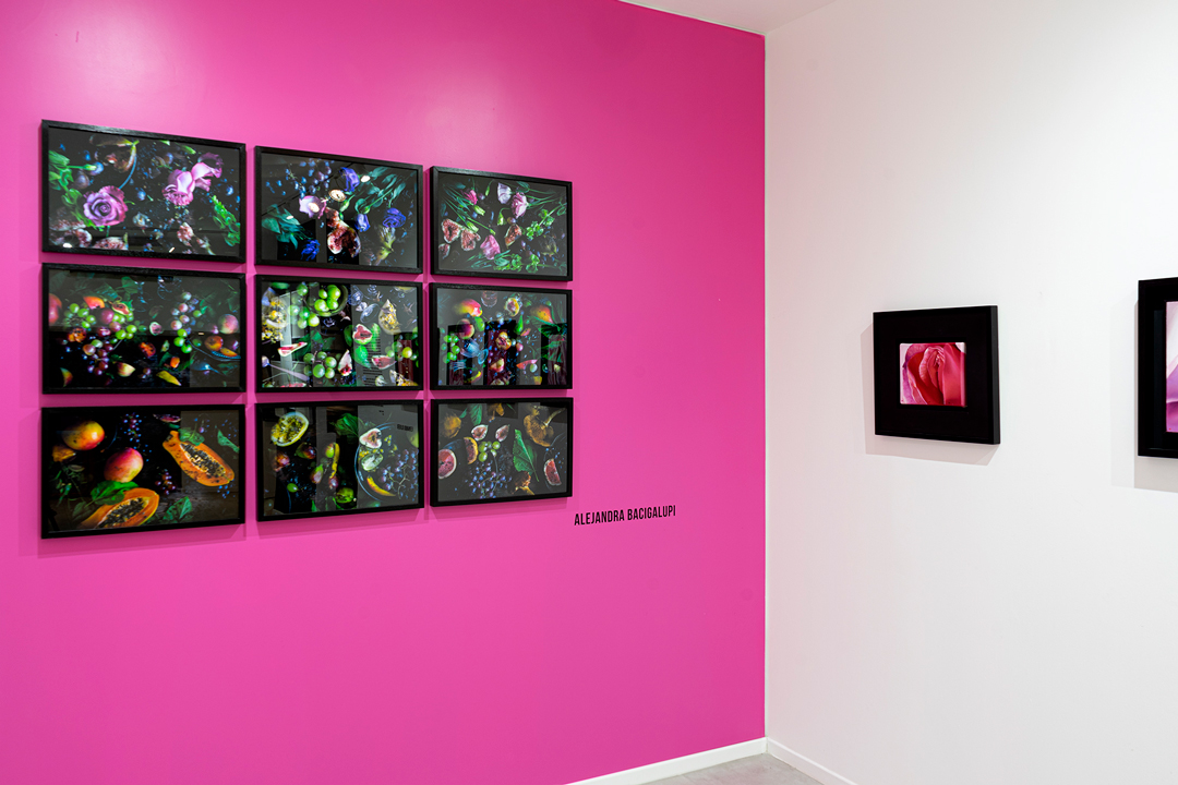 Los errores del Paraíso