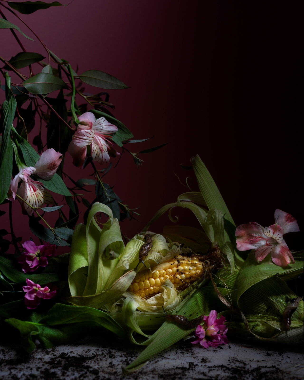 Alejandra Bacigalupi | Lo que habita el exceso