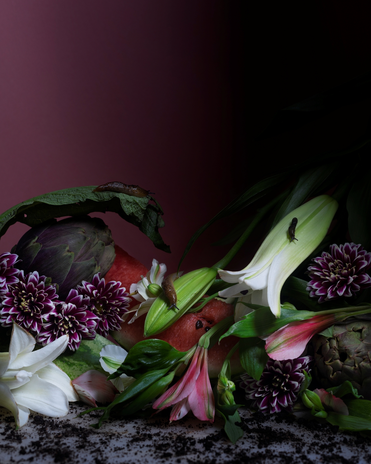 Alejandra Bacigalupi | Lo que habita el exceso