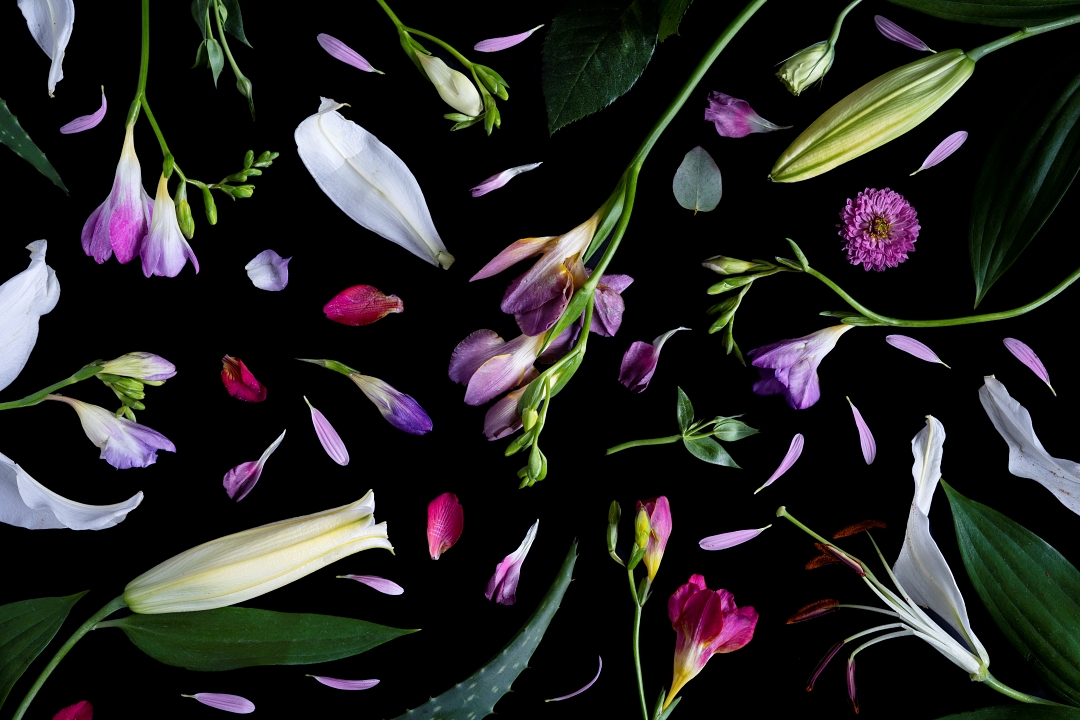 Alejandra Bacigalupi | Sobre lo frágil