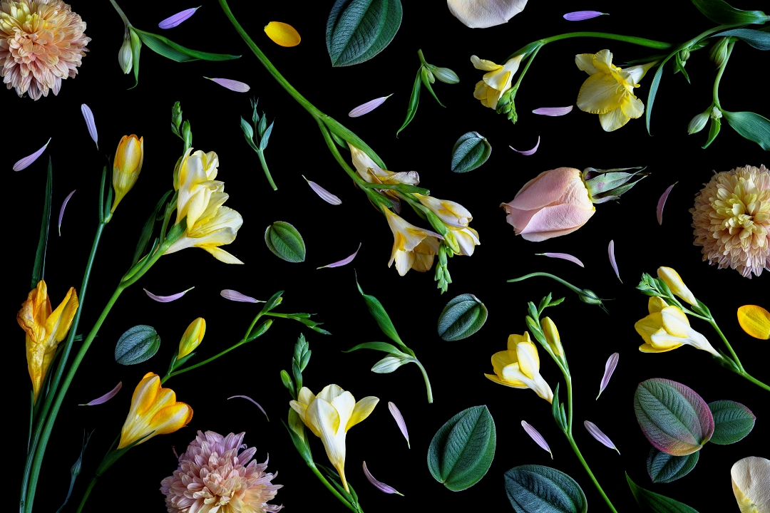 Alejandra Bacigalupi | Sobre lo frágil