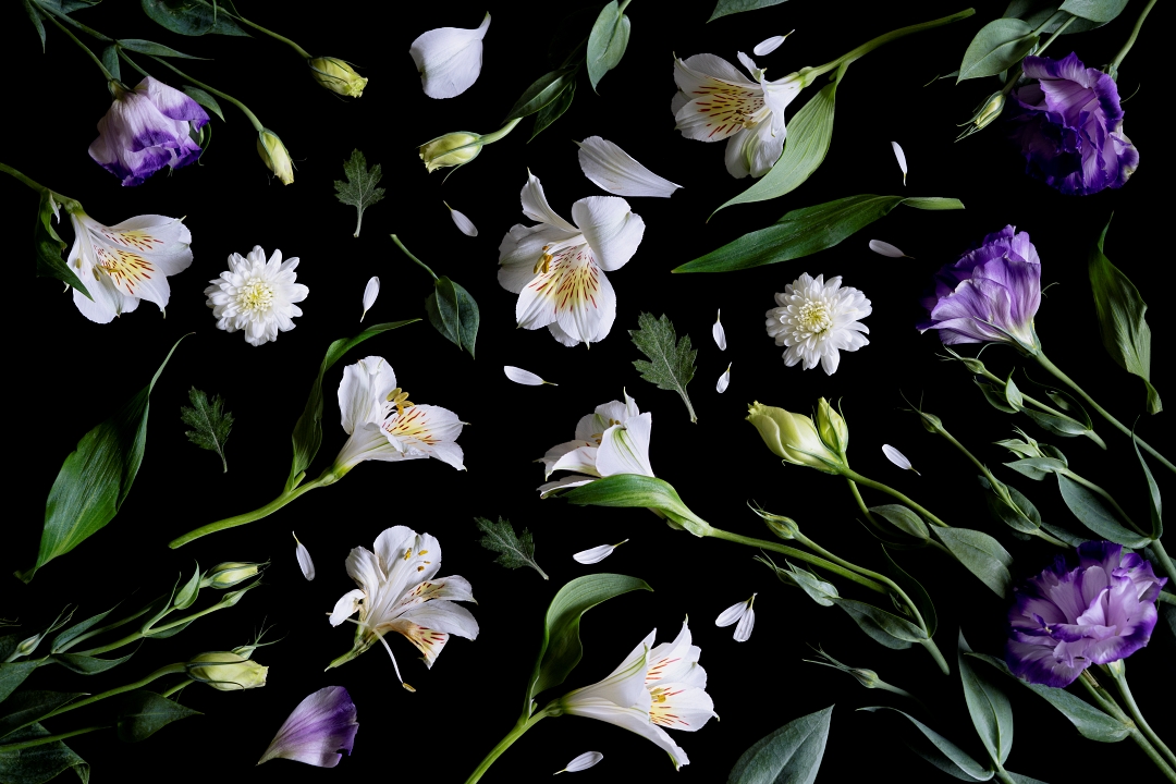 Alejandra Bacigalupi | Sobre lo frágil