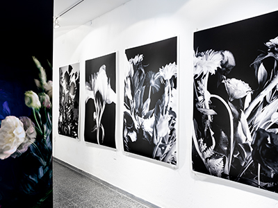 Resist and Insist, Diana Saravia Gallery