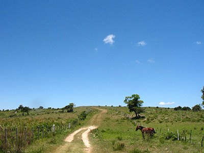 Visite Pueblo Garzón